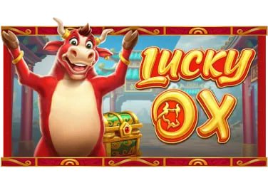 cuci slot